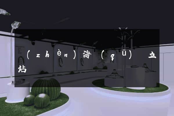 鎮(zhèn)海區(qū)獨立站運營