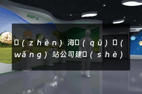 鎮(zhèn)海區(qū)網(wǎng)站公司建設(shè)