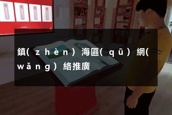 鎮(zhèn)海區(qū)網(wǎng)絡推廣