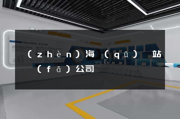鎮(zhèn)海區(qū)網站開發(fā)公司