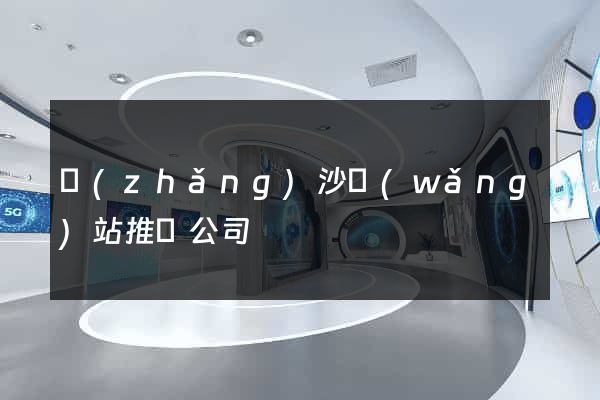 長(zhǎng)沙網(wǎng)站推廣公司
