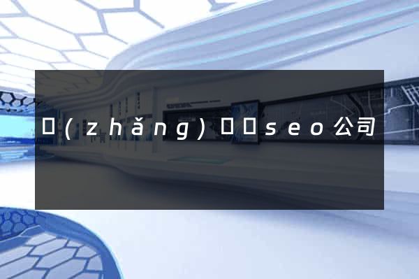 長(zhǎng)豐縣seo公司
