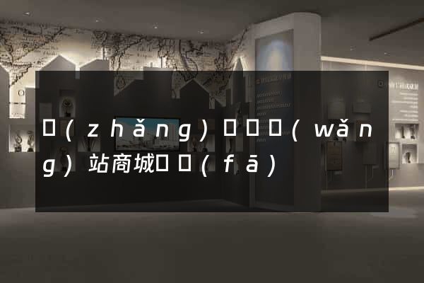 長(zhǎng)豐縣網(wǎng)站商城開發(fā)