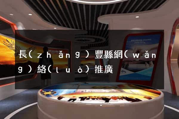 長(zhǎng)豐縣網(wǎng)絡(luò)推廣