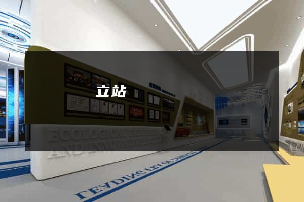 長豐縣獨立站運營