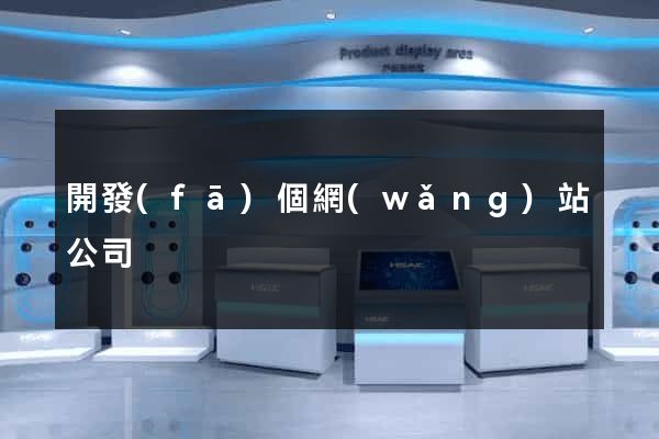 開發(fā)個網(wǎng)站公司
