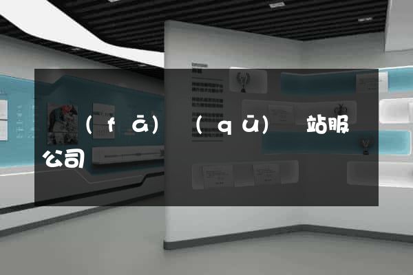 開發(fā)區(qū)網站服務公司