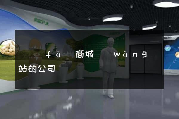 開發(fā)商城網(wǎng)站的公司
