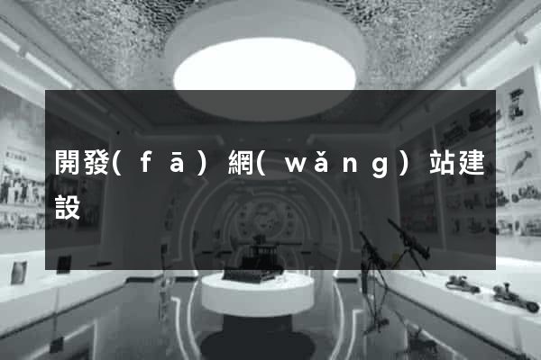開發(fā)網(wǎng)站建設