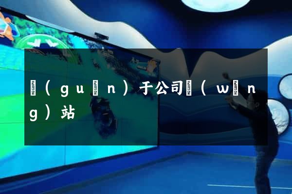 關(guān)于公司網(wǎng)站