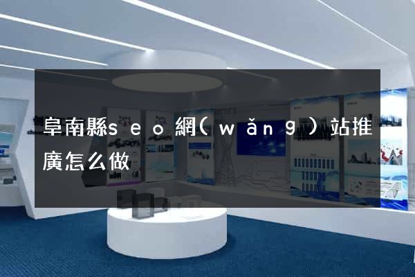 阜南縣seo網(wǎng)站推廣怎么做