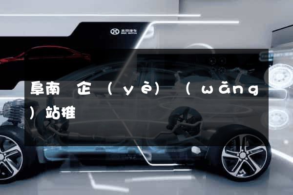 阜南縣企業(yè)網(wǎng)站推廣