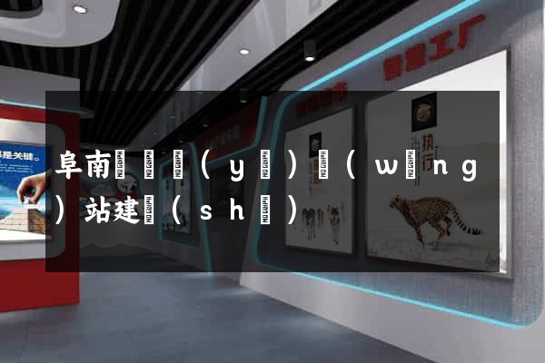 阜南縣專業(yè)網(wǎng)站建設(shè)