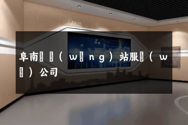 阜南縣網(wǎng)站服務(wù)公司