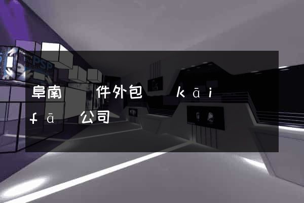 阜南縣軟件外包開(kāi)發(fā)公司