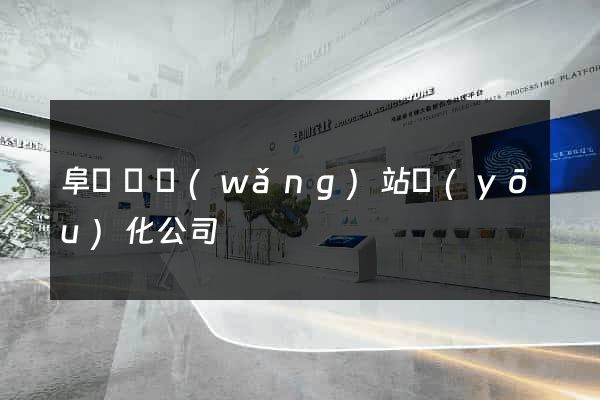阜寧縣網(wǎng)站優(yōu)化公司