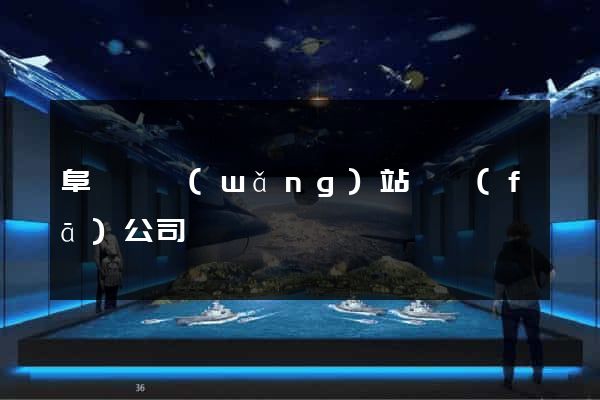 阜寧縣網(wǎng)站開發(fā)公司