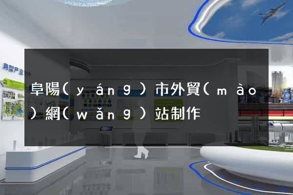 阜陽(yáng)市外貿(mào)網(wǎng)站制作