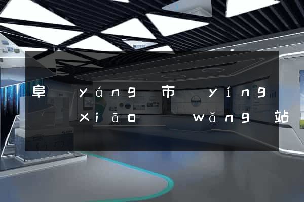 阜陽(yáng)市營(yíng)銷(xiāo)網(wǎng)站設(shè)計(jì)
