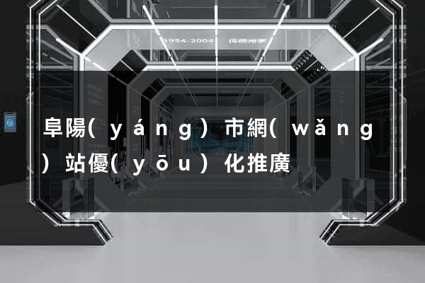 阜陽(yáng)市網(wǎng)站優(yōu)化推廣