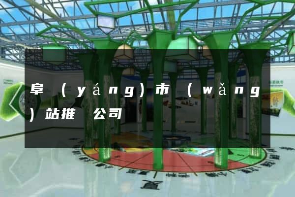 阜陽(yáng)市網(wǎng)站推廣公司