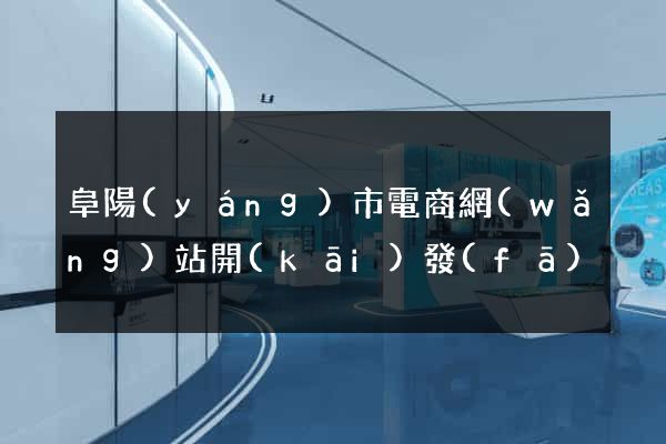 阜陽(yáng)市電商網(wǎng)站開(kāi)發(fā)