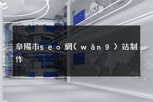 阜陽市seo網(wǎng)站制作