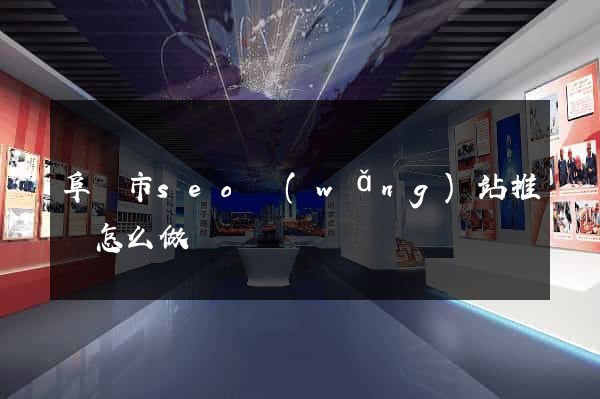 阜陽市seo網(wǎng)站推廣怎么做