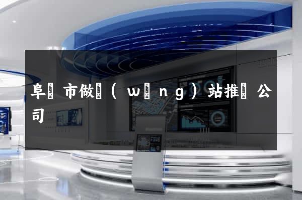 阜陽市做網(wǎng)站推廣公司