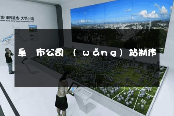 阜陽市公司網(wǎng)站制作