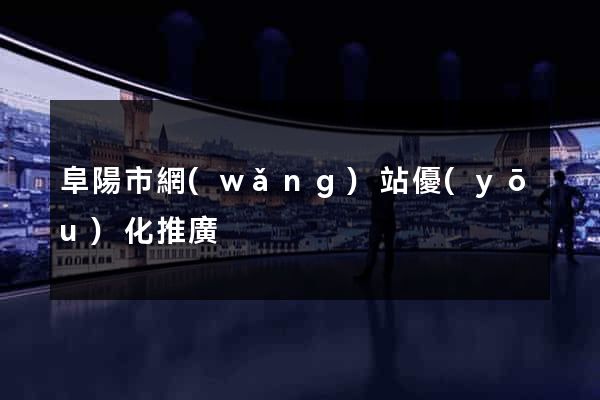 阜陽市網(wǎng)站優(yōu)化推廣