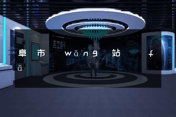 阜陽市網(wǎng)站開發(fā)