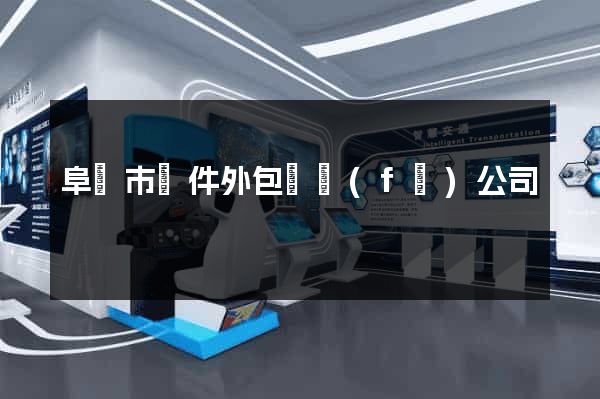 阜陽市軟件外包開發(fā)公司