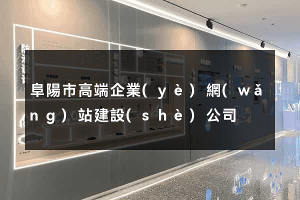 阜陽市高端企業(yè)網(wǎng)站建設(shè)公司