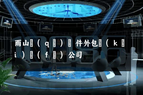 雨山區(qū)軟件外包開(kāi)發(fā)公司