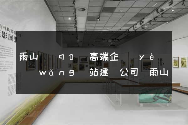 雨山區(qū)高端企業(yè)網(wǎng)站建設公司(雨山區(qū)高端企業(yè)網(wǎng)站建設公司有哪些)