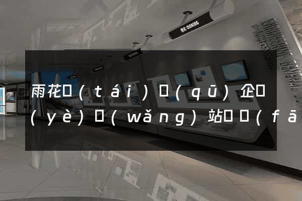 雨花臺(tái)區(qū)企業(yè)網(wǎng)站開發(fā)
