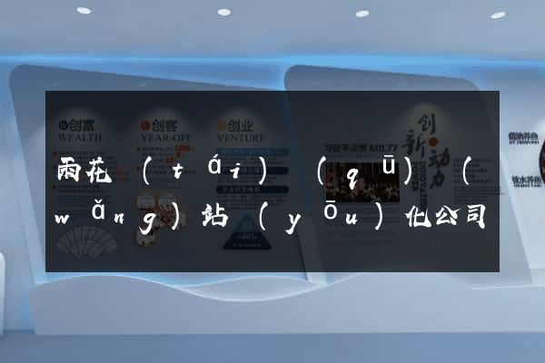 雨花臺(tái)區(qū)網(wǎng)站優(yōu)化公司