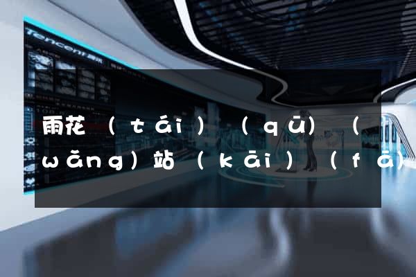 雨花臺(tái)區(qū)網(wǎng)站開(kāi)發(fā)與建設(shè)