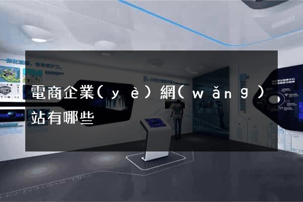 電商企業(yè)網(wǎng)站有哪些