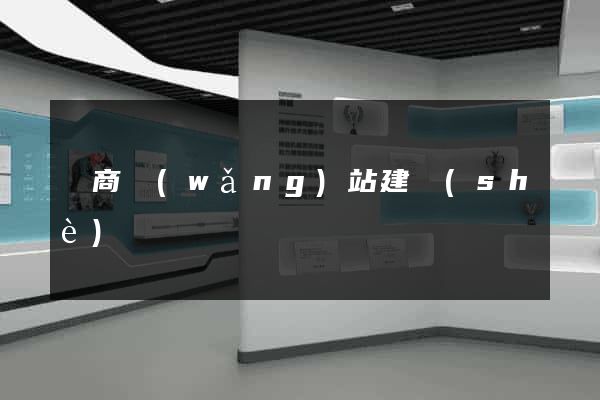 電商網(wǎng)站建設(shè)