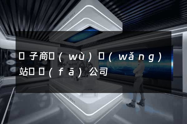 電子商務(wù)網(wǎng)站開發(fā)公司