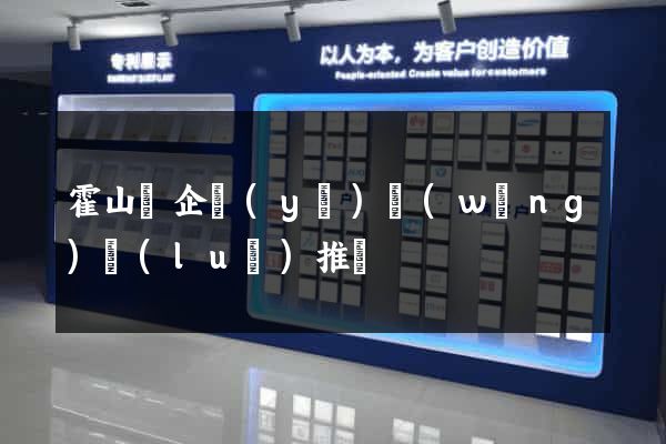 霍山縣企業(yè)網(wǎng)絡(luò)推廣