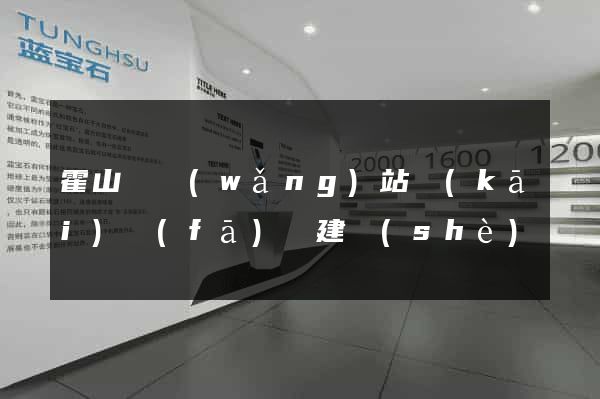 霍山縣網(wǎng)站開(kāi)發(fā)與建設(shè)