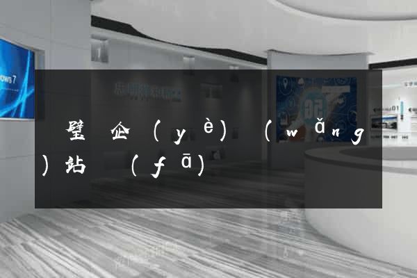 靈璧縣企業(yè)網(wǎng)站開發(fā)