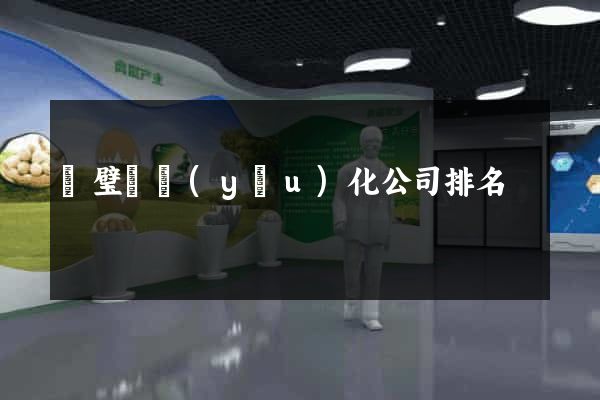 靈璧縣優(yōu)化公司排名