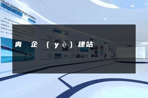 青島企業(yè)建站