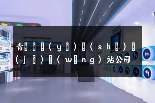 青島專業(yè)設(shè)計(jì)網(wǎng)站公司