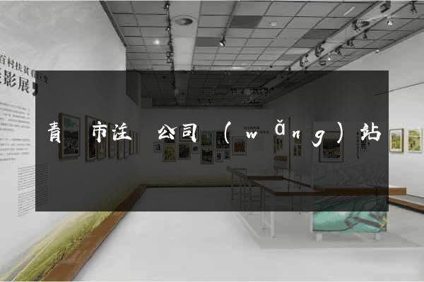 青島市注冊公司網(wǎng)站