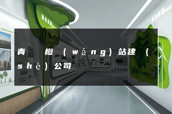 青島東橙網(wǎng)站建設(shè)公司